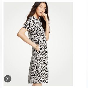 Ann Taylor cheetah print t shirt dress size 6t